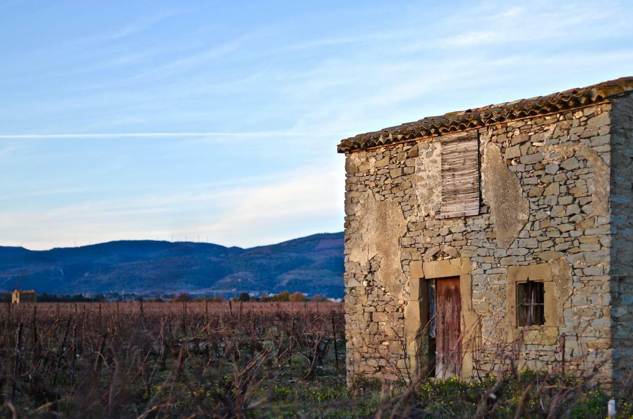 Maison De Margot Peyriac-Minervois Exterior foto